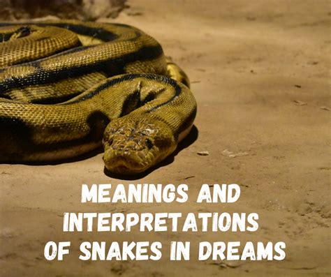 Exploring the Meaning of Snake Dreams in the Early Stages of Pregnancy