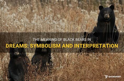 Exploring the Meaning of Symbolic Encounters with Bears in Dream Interpretation