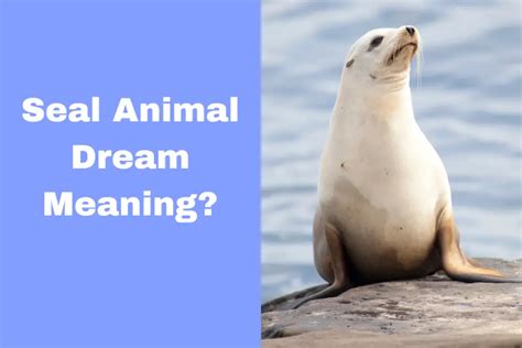 Exploring the Meanings Behind a Departed Seal in Dreams