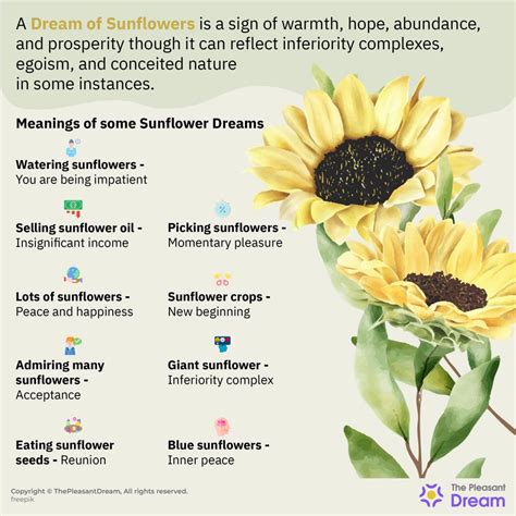 Exploring the Meanings of Sunflower-Colored Feathers: Interpretations from Dream Experts