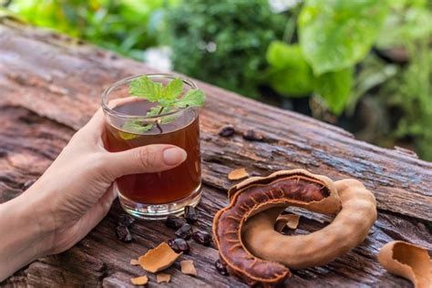 Exploring the Multifaceted Role of Tamarind in Medicine and Beyond