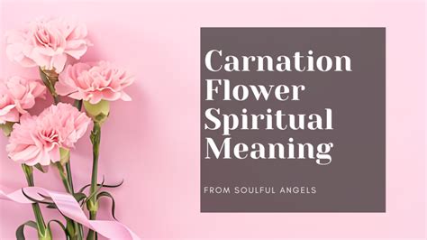 Exploring the Mystical Meanings Behind Enchanting Carnation Dreams