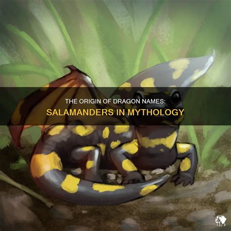 Exploring the Mythological Origins of Salamanders