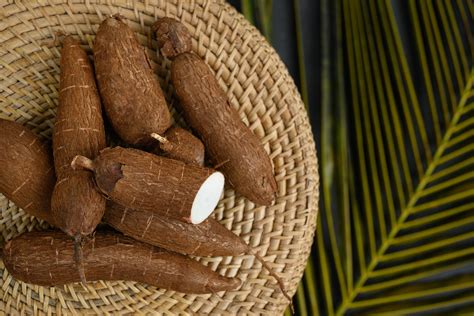 Exploring the Nutritional Advantages of Cassava