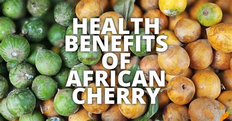 Exploring the Nutritional Benefits of African Cherry: Nature's Powerhouse