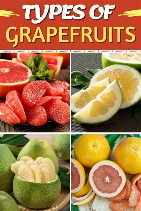 Exploring the Origins and Varieties of Grape Fruits