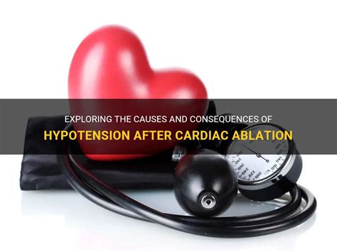 Exploring the Origins of Hypotension