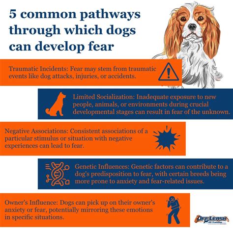 Exploring the Personal Associations with Canine Attacks and Fear