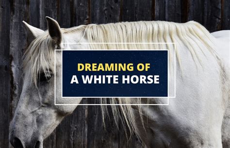 Exploring the Personal Significance of Dreaming about a Pale Young Horse