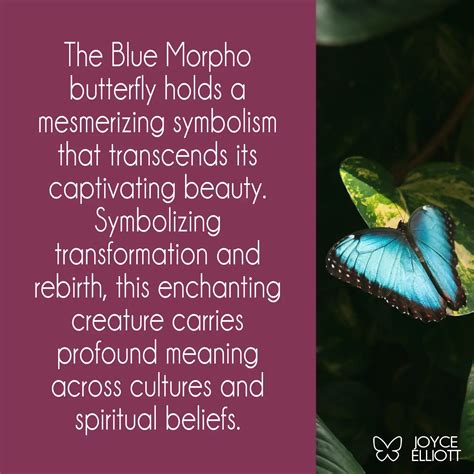 Exploring the Personal and Universal Significance of Dreams Featuring the Captivating Butterfly