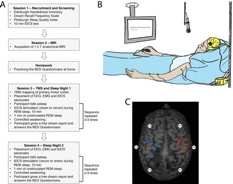 Exploring the Physical Factors Behind Sensations Experienced in Dreams