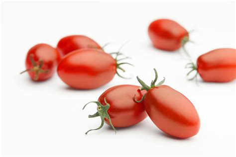 Exploring the Plethora of Delectable Tomato Varieties