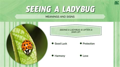 Exploring the Positive and Negative Meanings behind the influence of Ladybug Bites in Dreams