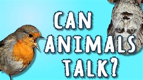 Exploring the Possibility: Establishing Communication Between Humans and Animals