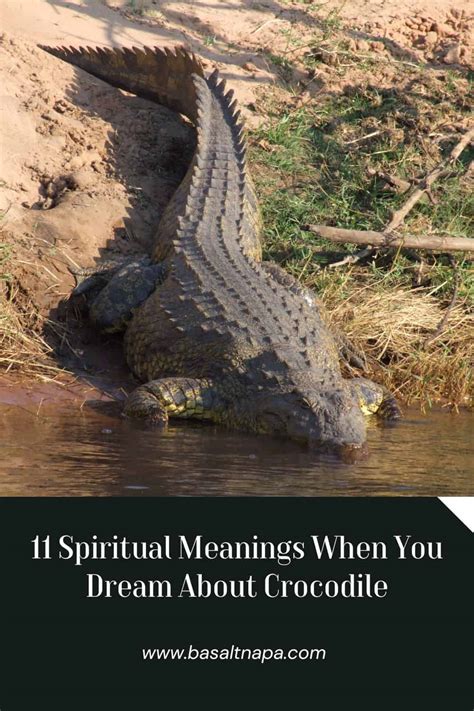 Exploring the Possible Connection Between Alligator Dreams and Personal Power and Control