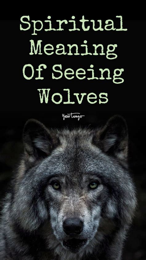 Exploring the Possible Meanings of Being Devoured by Wolves