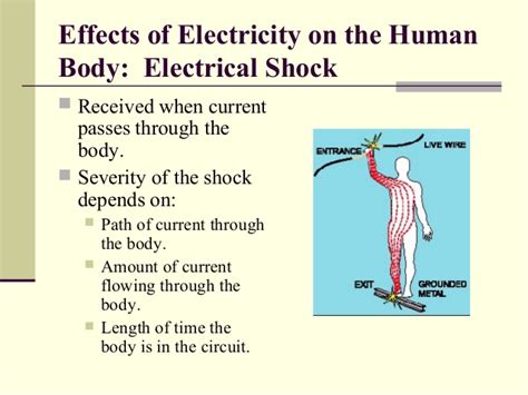 Exploring the Possible Physical Triggers for Electric Shock Dreams