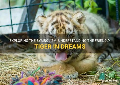 Exploring the Possible Significance of Tiger Dreams