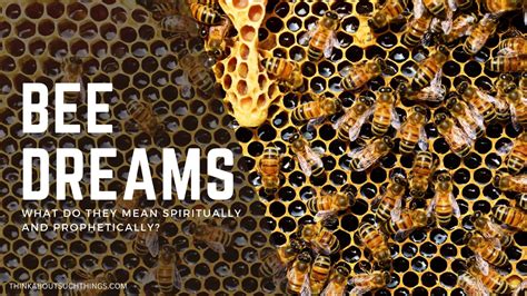 Exploring the Potential Connotations of Bees in Dreams