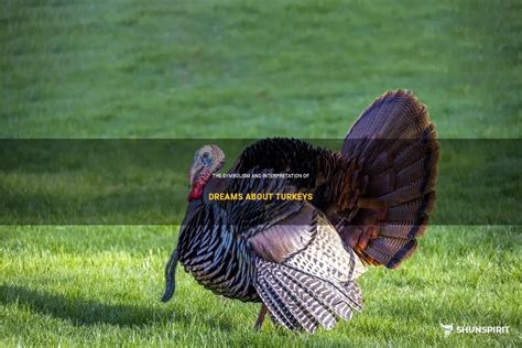 Exploring the Potential Meanings Behind Dreaming of Juvenile Turkeys