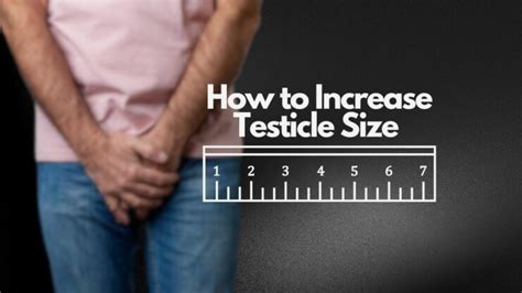 Exploring the Potential Risks and Benefits of Techniques to Enhance Testicle Size