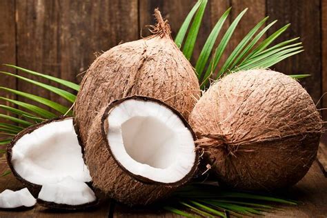 Exploring the Potential Spiritual Connotations Linked to Coconuts in Dreams