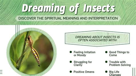 Exploring the Potential Spiritual Significance of Insect-related Visions