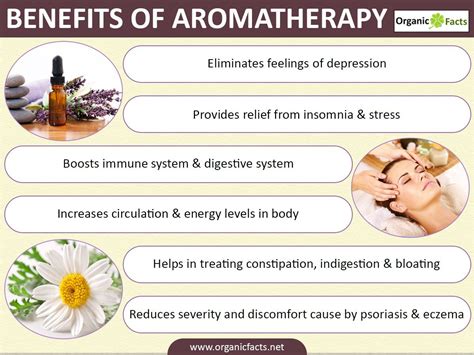 Exploring the Potential Therapeutic Benefits of Aroma in Dreamwork