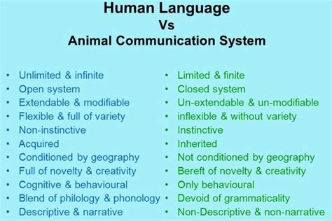 Exploring the Potential of Animal-Human Communication