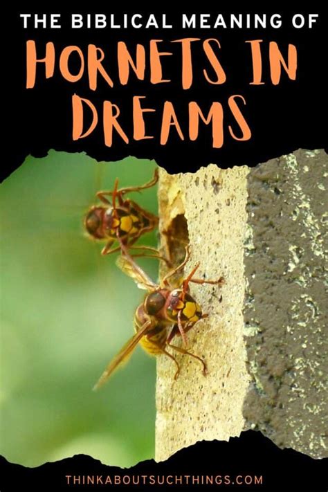 Exploring the Profound Significance of Dreaming About Hornets