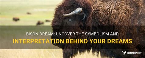 Exploring the Profound Significance of the Bison Skull in Dream Interpretation