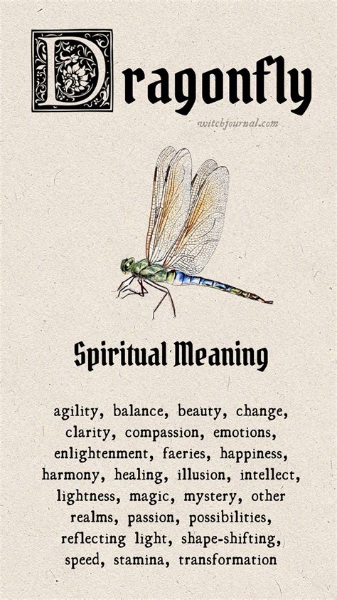 Exploring the Profound Significance of the Enchanting Ivory Dragonfly