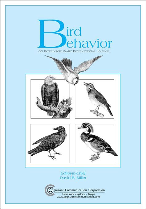 Exploring the Psychological Analysis of Avian Assaults in Dreamscapes