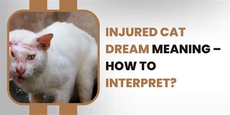 Exploring the Psychological Analysis of a Injured Feline Dream