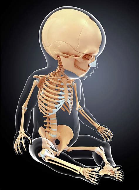 Exploring the Psychological Interpretation of a Dream featuring an Infant Skeletal Figure