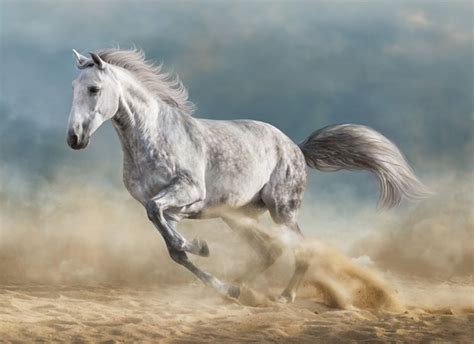 Exploring the Psychological Interpretations of Dreaming about a Sprinting Stallion