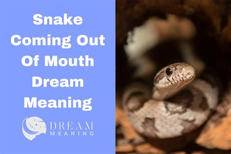 Exploring the Psychological Meaning of Experiencing a Mouth in a Dream