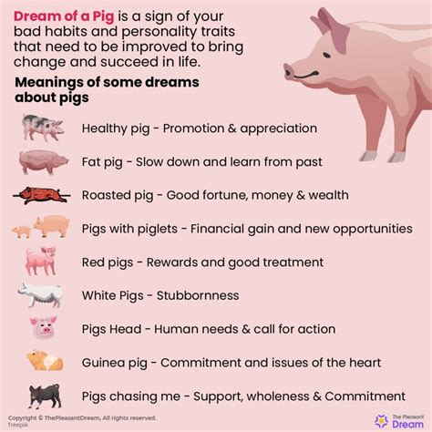 Exploring the Psychological Meanings Behind Dreams of Pursuing Swine