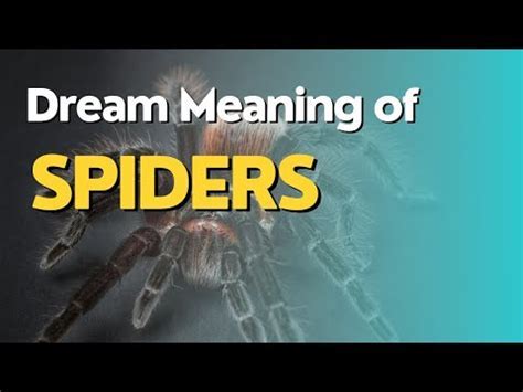 Exploring the Psychological Significance of Arachnid Reveries