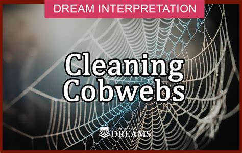 Exploring the Psychological Significance of Dreaming About Cleaning