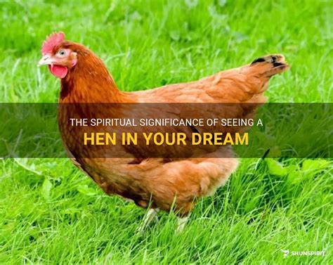 Exploring the Psychological Significance of Dreaming about Embracing a Hen