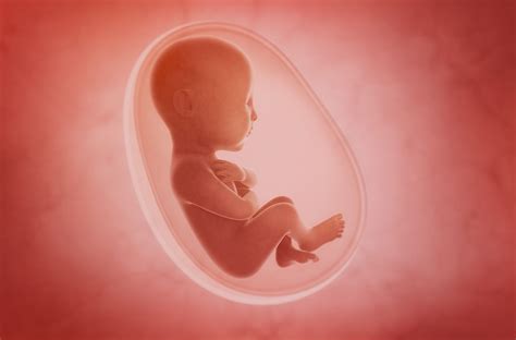 Exploring the Psychological Significance of Dreaming about an Unborn Infant