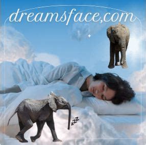 Exploring the Psychological Significance of Embracing an Elephant in a Dream