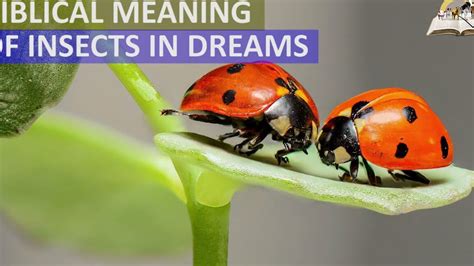 Exploring the Psychological Significance of Green Insects in Dreams