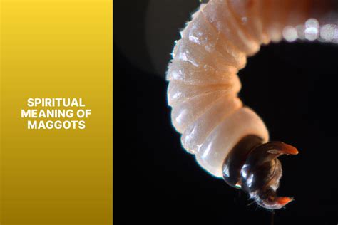 Exploring the Psychological Significance of Maggot Movement