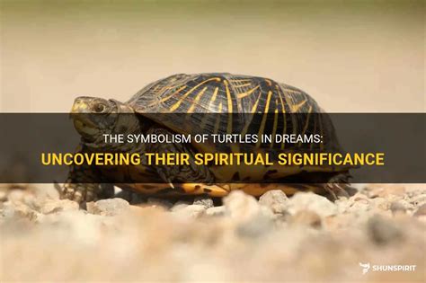 Exploring the Psychological Significance of Multiple Turtle Dreams