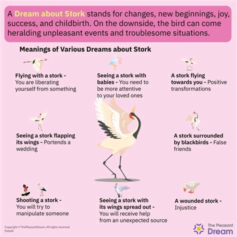 Exploring the Psychological Significance of Stork Dreams