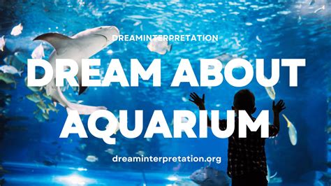 Exploring the Psychological and Spiritual Dimensions of Dreaming about an Empty Aquarium