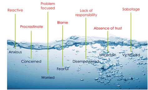 Exploring the Range of Emotions: Decoding the Depths of Pond Immersion