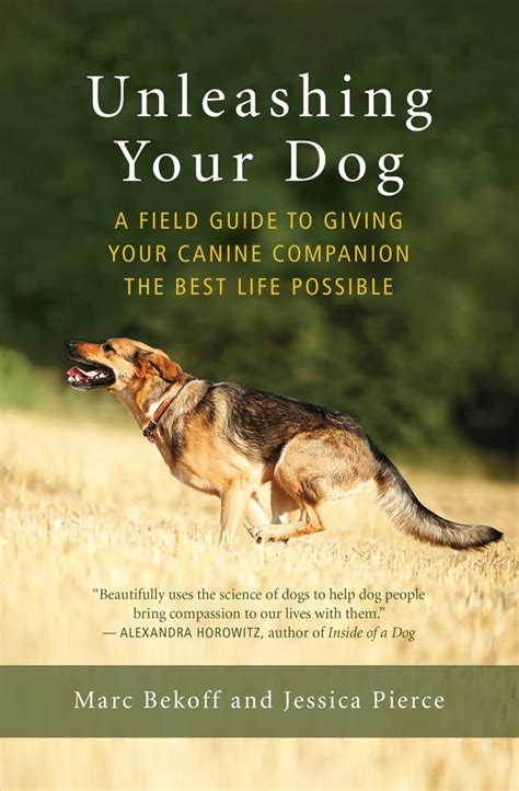 Exploring the Reasons Behind Your Desire to Part Ways with Your Canine Companion